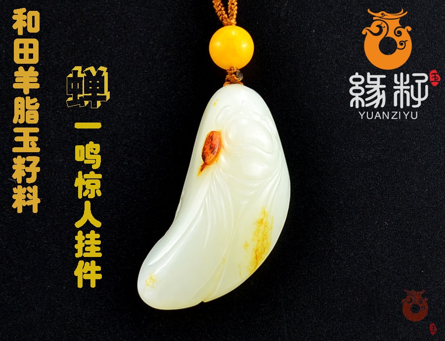 缘籽大朋讲述玉蝉