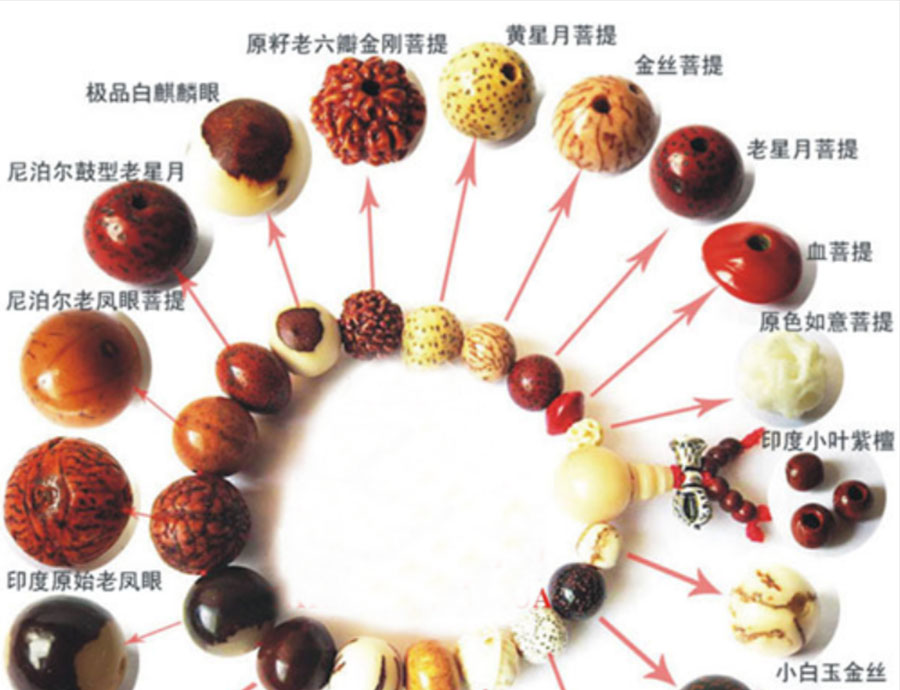 菩提子种类赏析（一）
